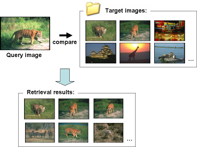 similar image retrieval